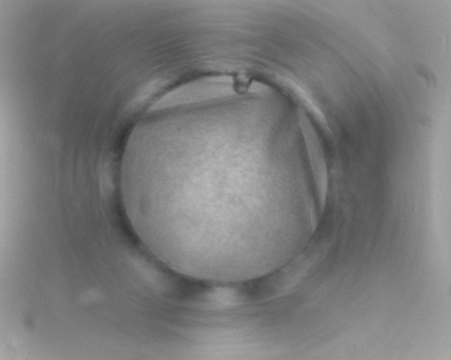 X0000115730114200911251946