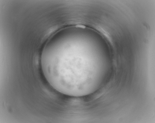 X0000115730115200911251946