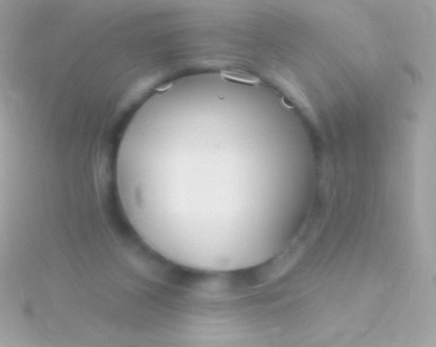 X0000115730116200911251946