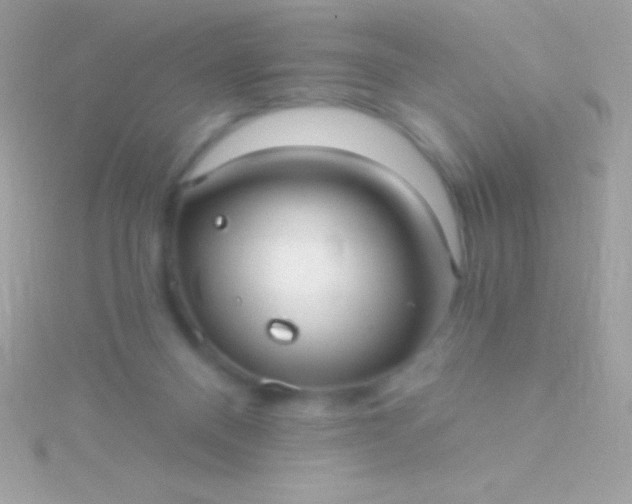 X0000115730120200911251946