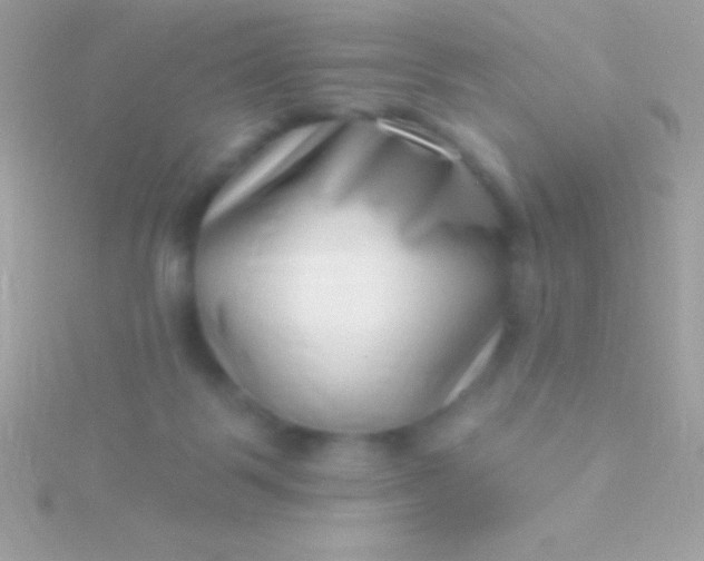 X0000115730123200911251946