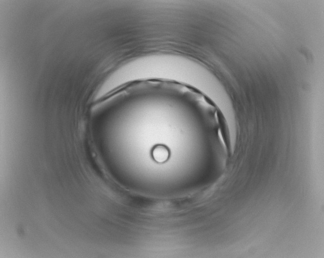 X0000115730124200911251946