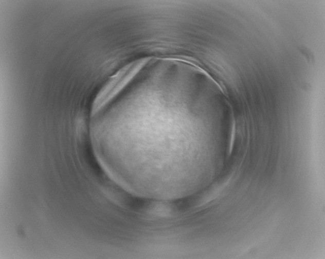 X0000115730127200911251946