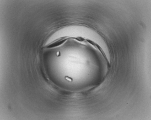 X0000115730128200911251946