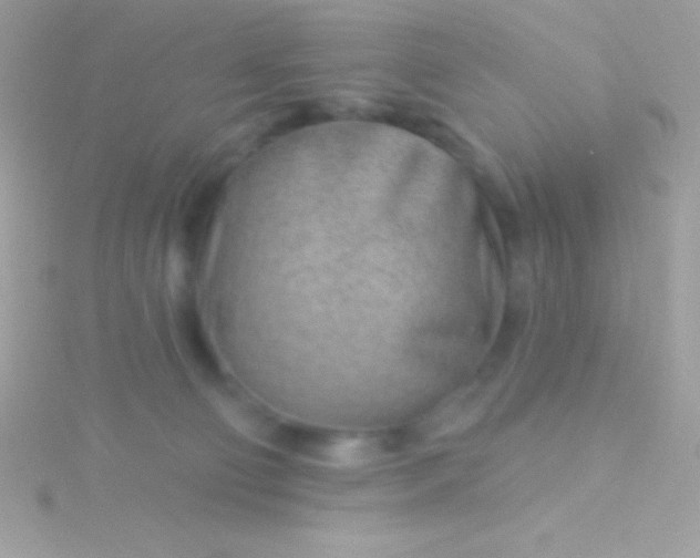 X0000115730130200911251946