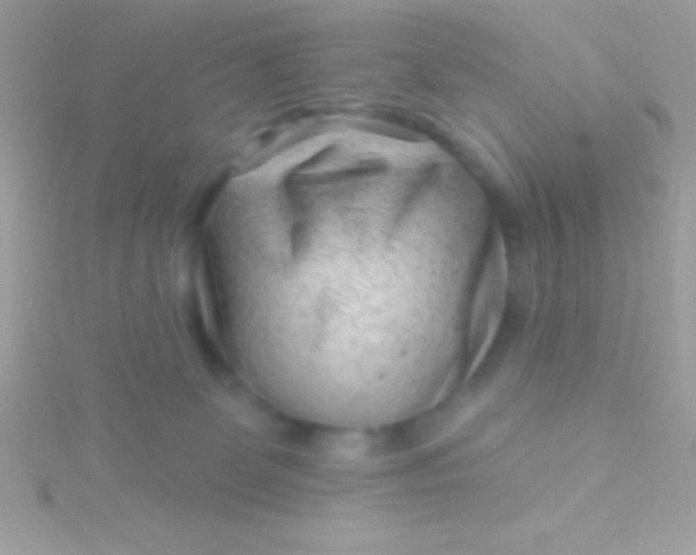 X0000115730131200911251946