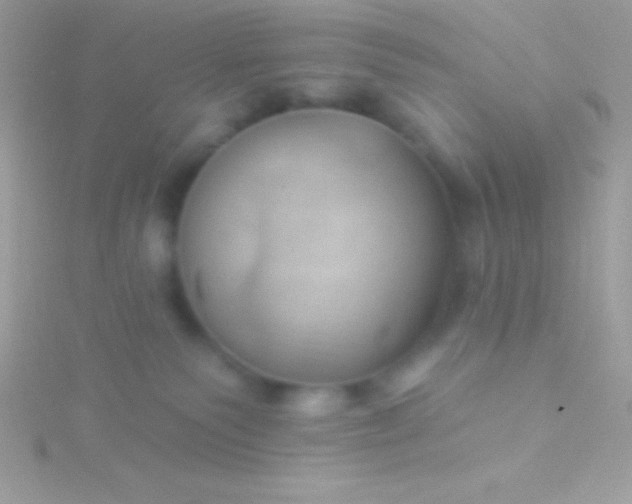 X0000115730135200911251946