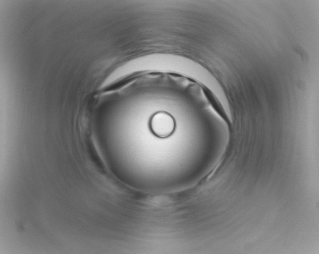 X0000115730137200911251946