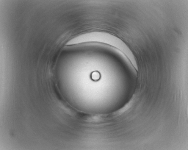 X0000115730140200911251946