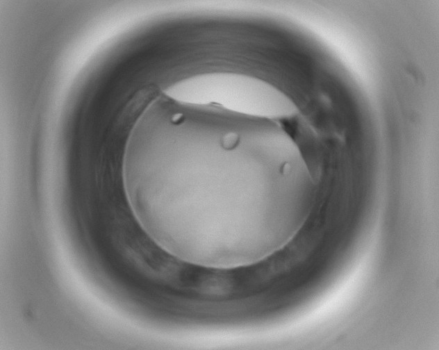 X0000115730143200911251946