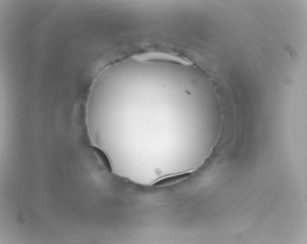 X0000115730144200911251946