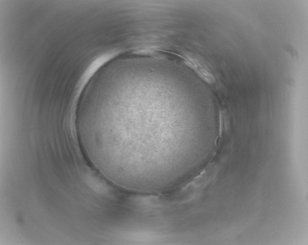 X0000115730147200911251945