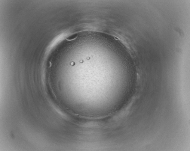 X0000115730149200911251945