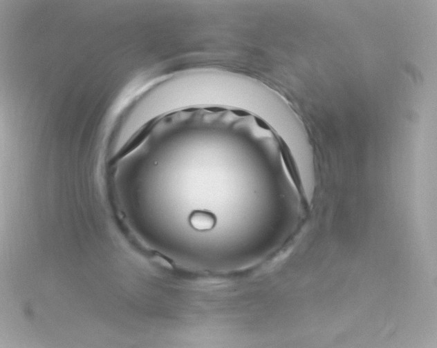 X0000115730150200911251945