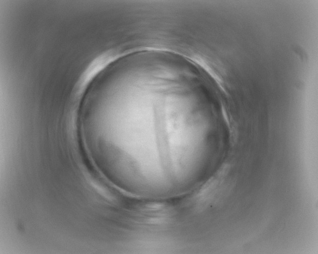 X0000115730151200911251945