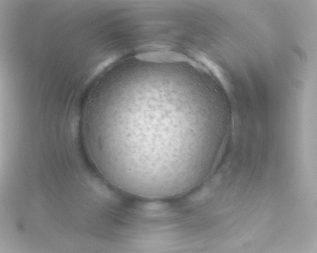 X0000115730153200911251945