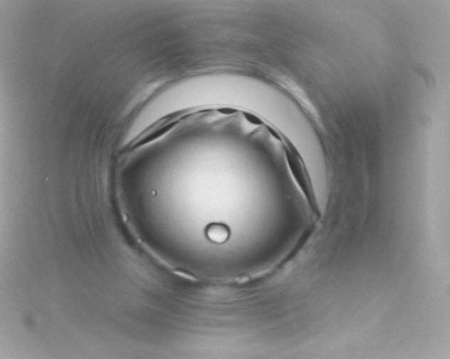 X0000115730154200911251945