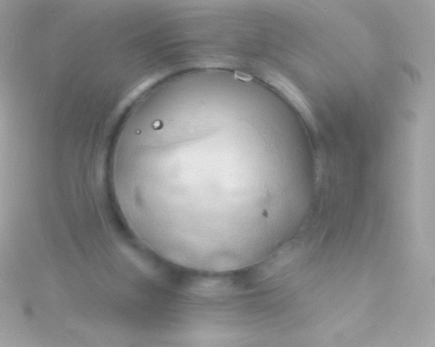 X0000115730155200911251945