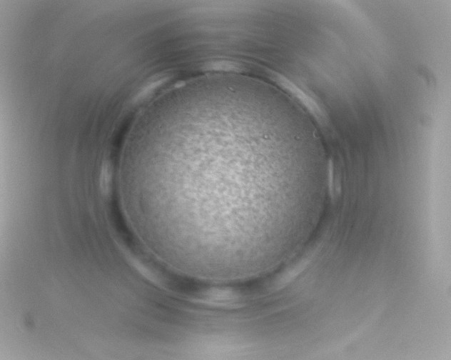 X0000115730157200911251945