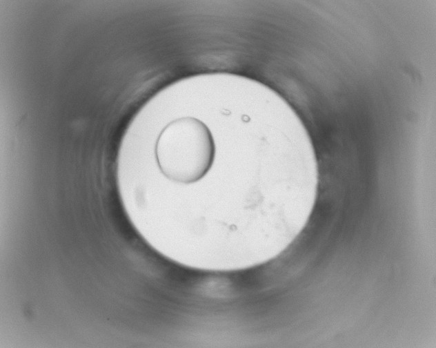 X0000115730162200911251945