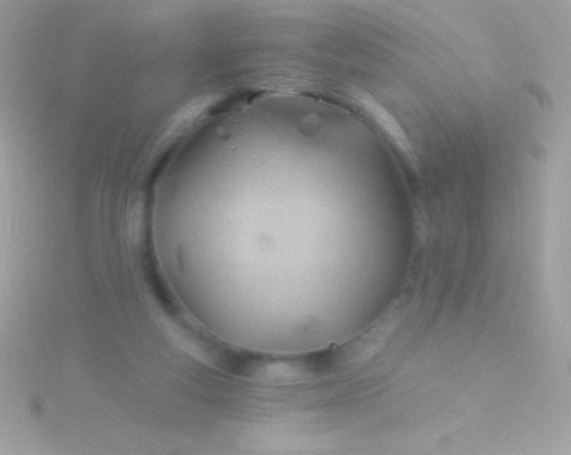 X0000115730163200911251945