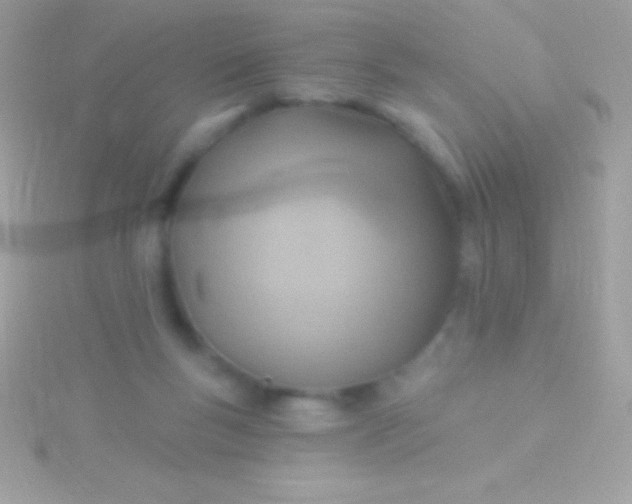 X0000115730167200911251945