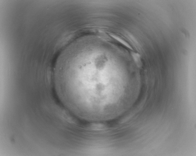 X0000115730169200911251945