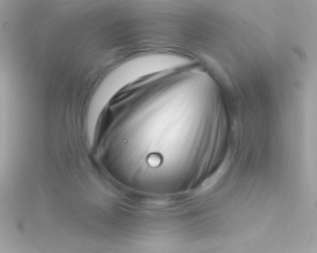 X0000115730170200911251945