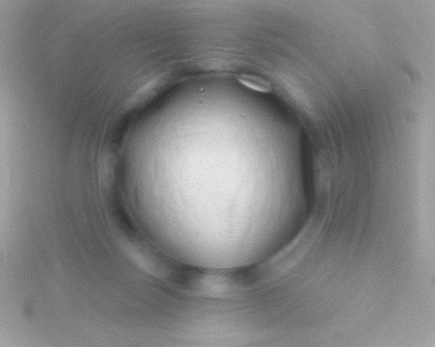 X0000115730171200911251945