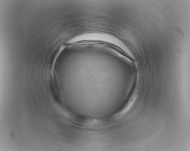 X0000115730174200911251945