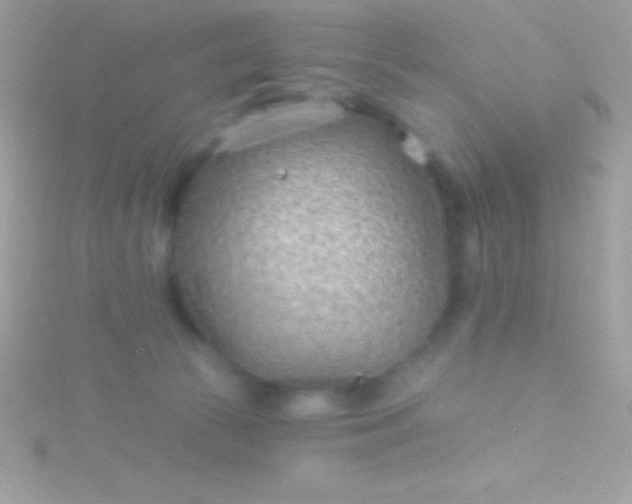 X0000115730177200911251946