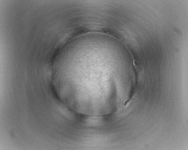 X0000115730179200911251946