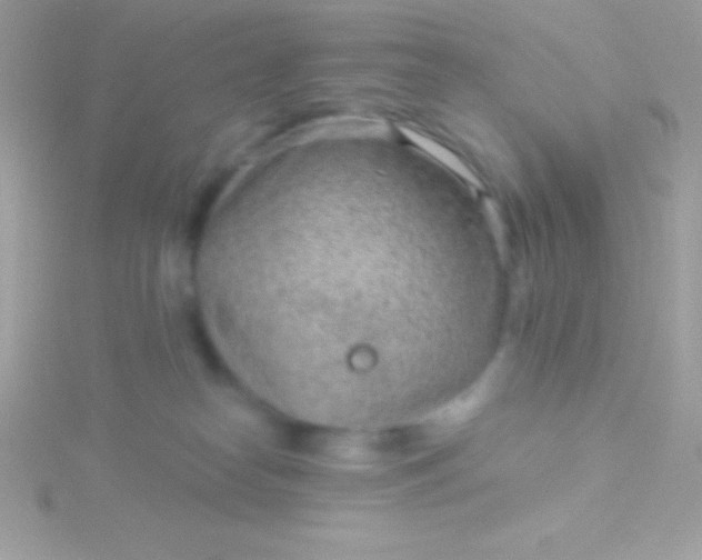 X0000115730182200911251946