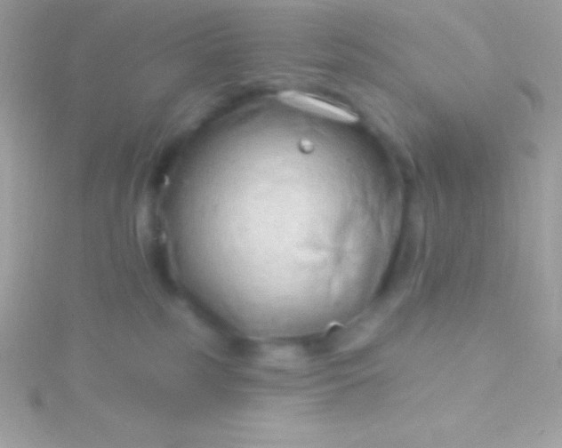 X0000115730185200911251946