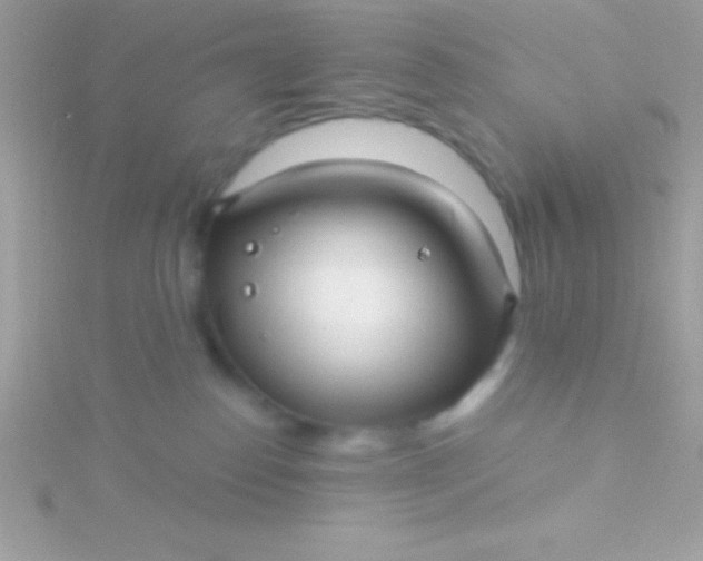 X0000115730186200911251946