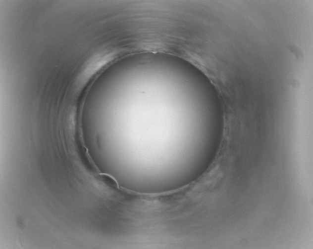 X0000115730194200911251945