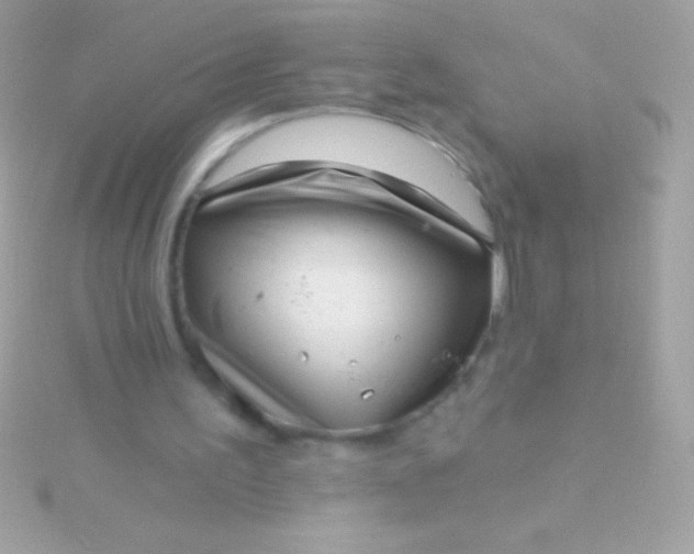 X0000115730195200911251945