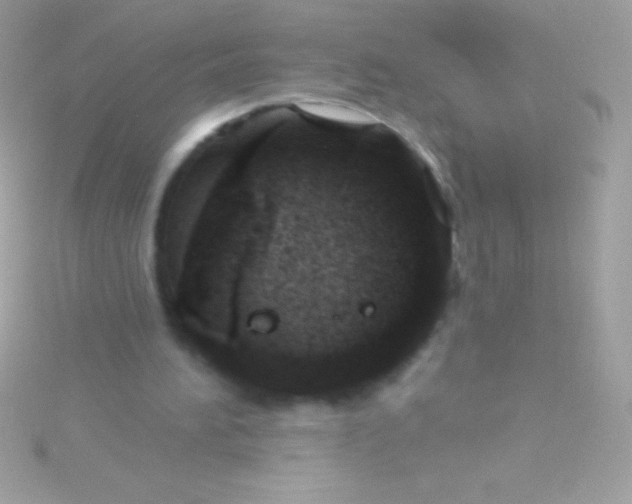 X0000115730196200911251945