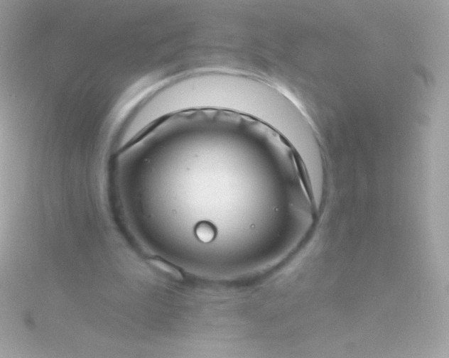 X0000115730199200911251945