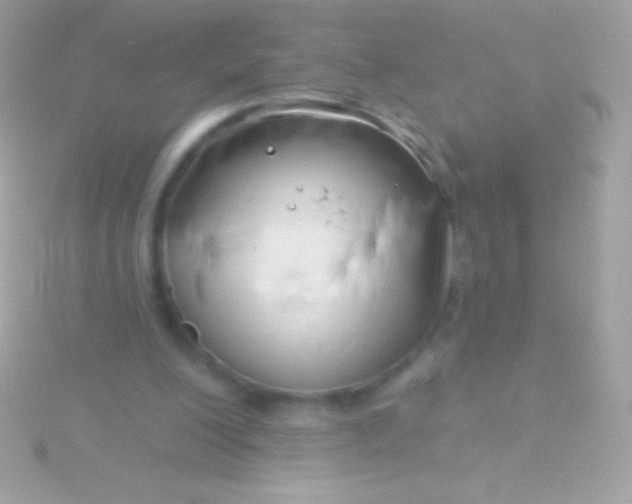 X0000115730200200911251945