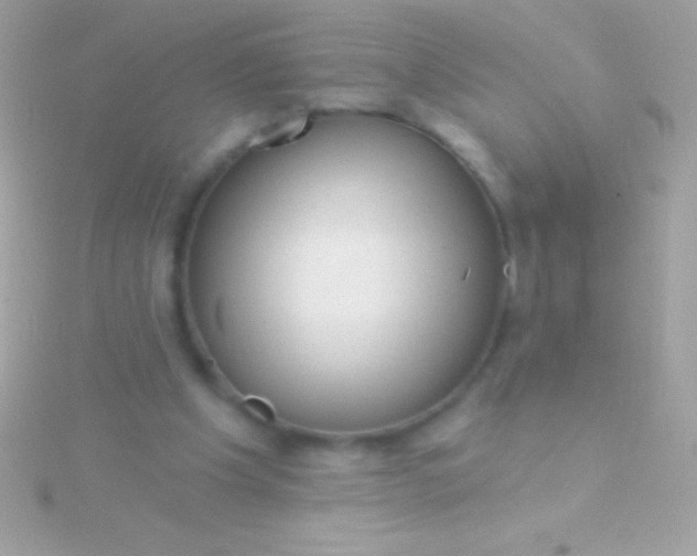 X0000115730201200911251945