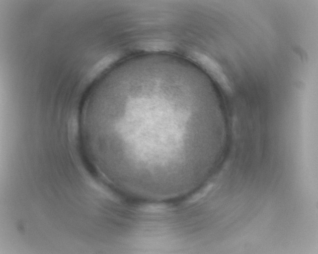 X0000115730202200911251945