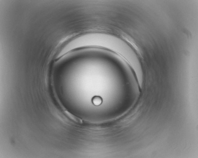 X0000115730203200911251945