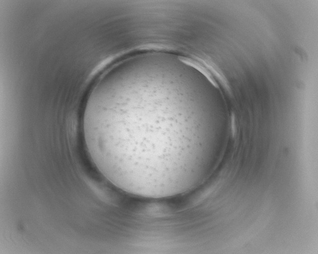 X0000115730204200911251945