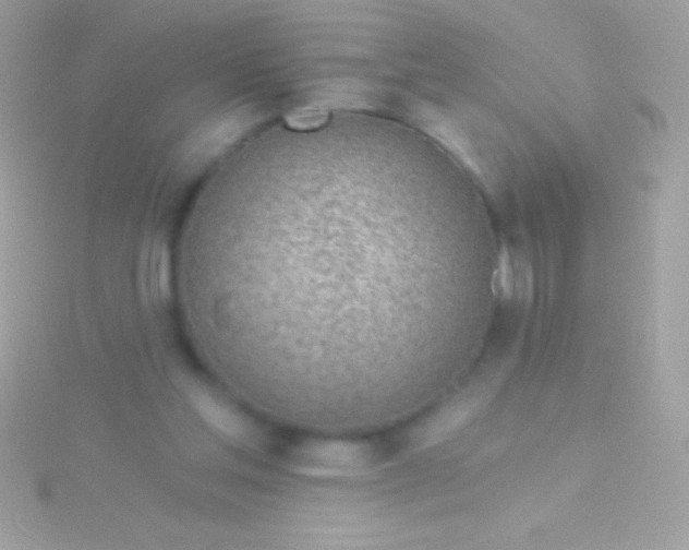 X0000115730205200911251945