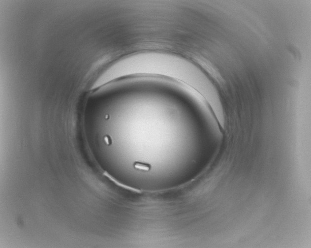 X0000115730207200911251945