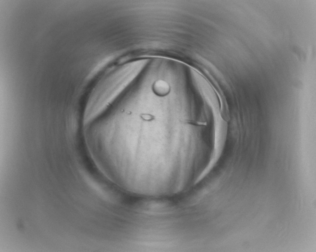 X0000115730208200911251945