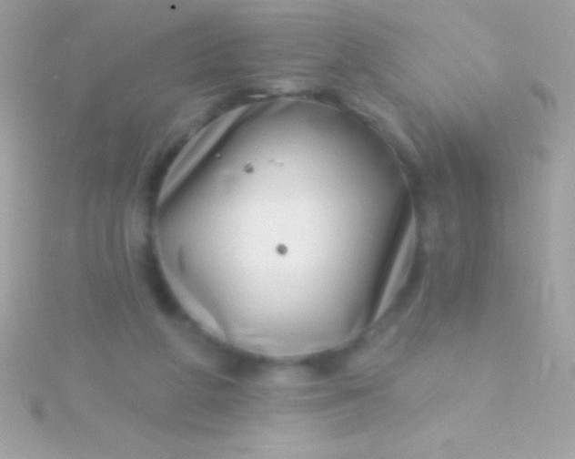 X0000115730210200911251945