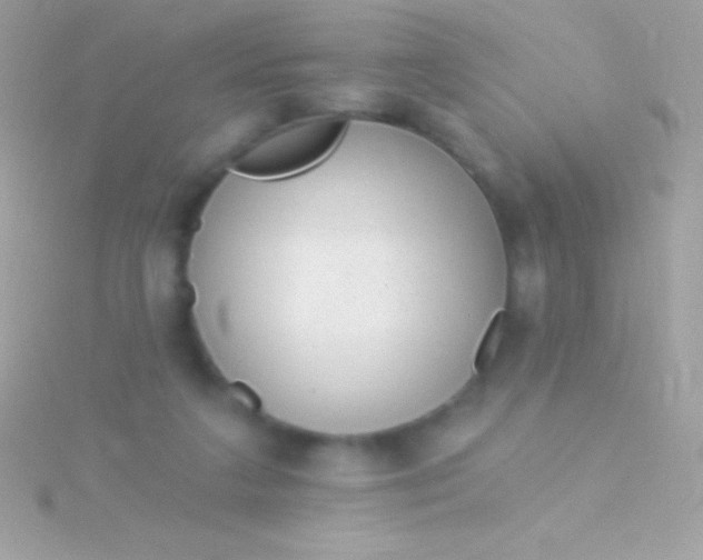 X0000115730211200911251945