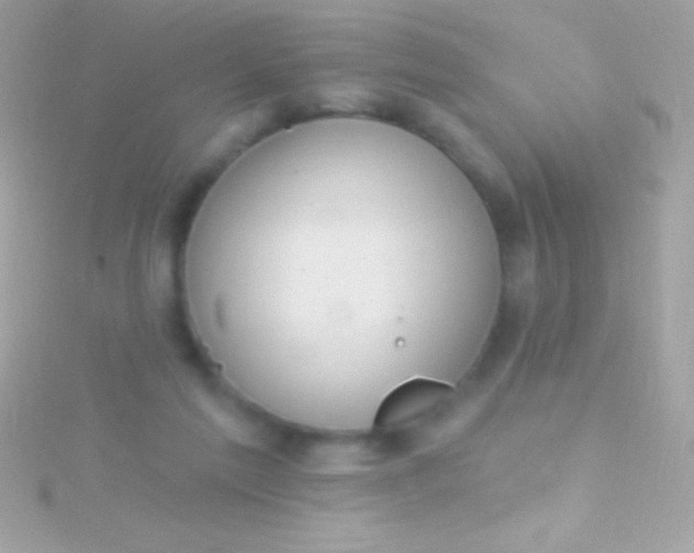 X0000115730213200911251945